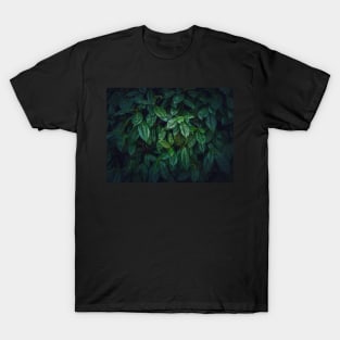 Dark green leaves texture T-Shirt